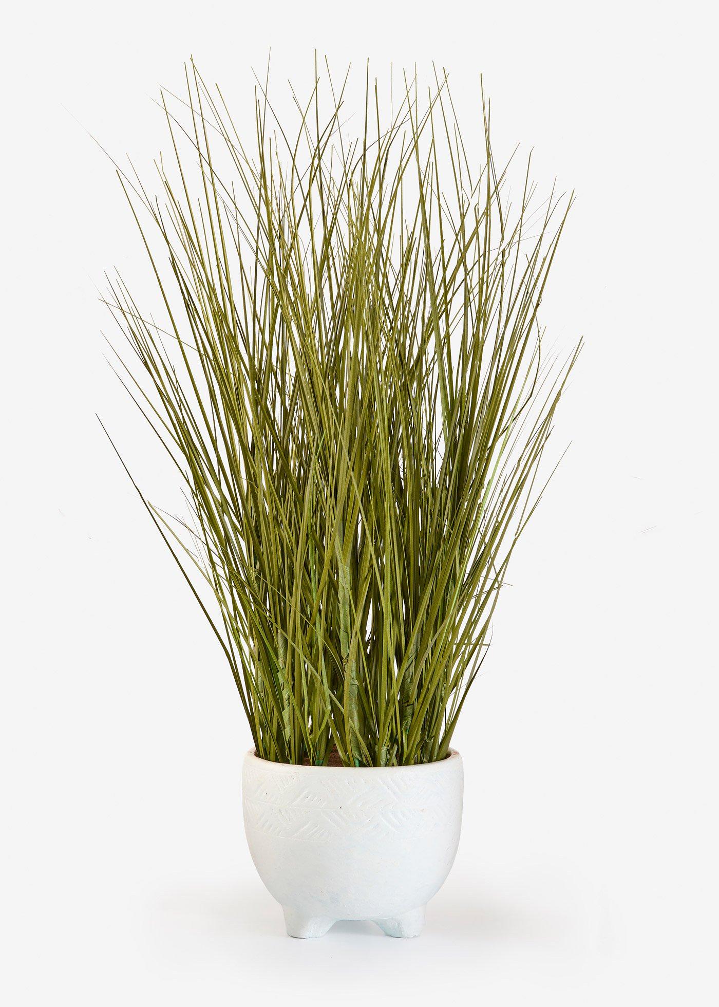 I nostri consigli per te 1