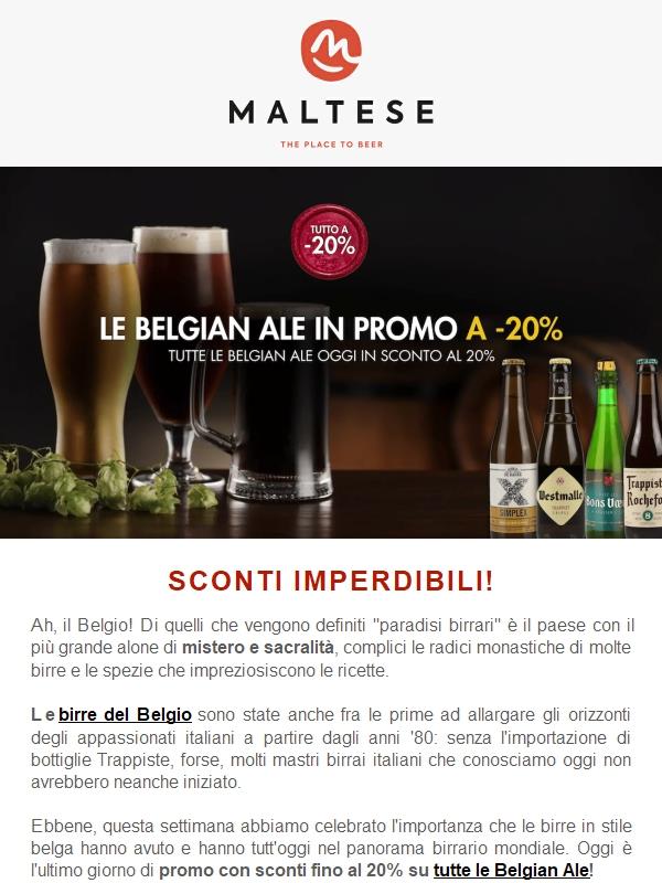 Le migliori Belgian Ale in sconto fino al 20%!