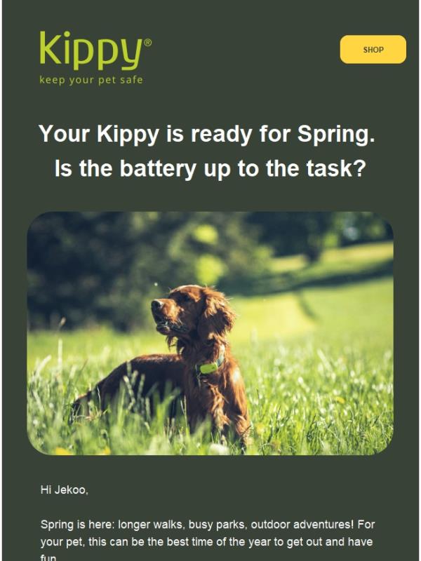 🌿 More adventures, longer battery: how to get the most out of Kippy
