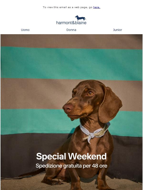 Special Weekend: Spedizione Gratuita per 48 Ore