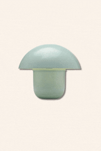 mushroom