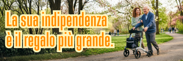 Offerta Festa del Papà - Deambulatori