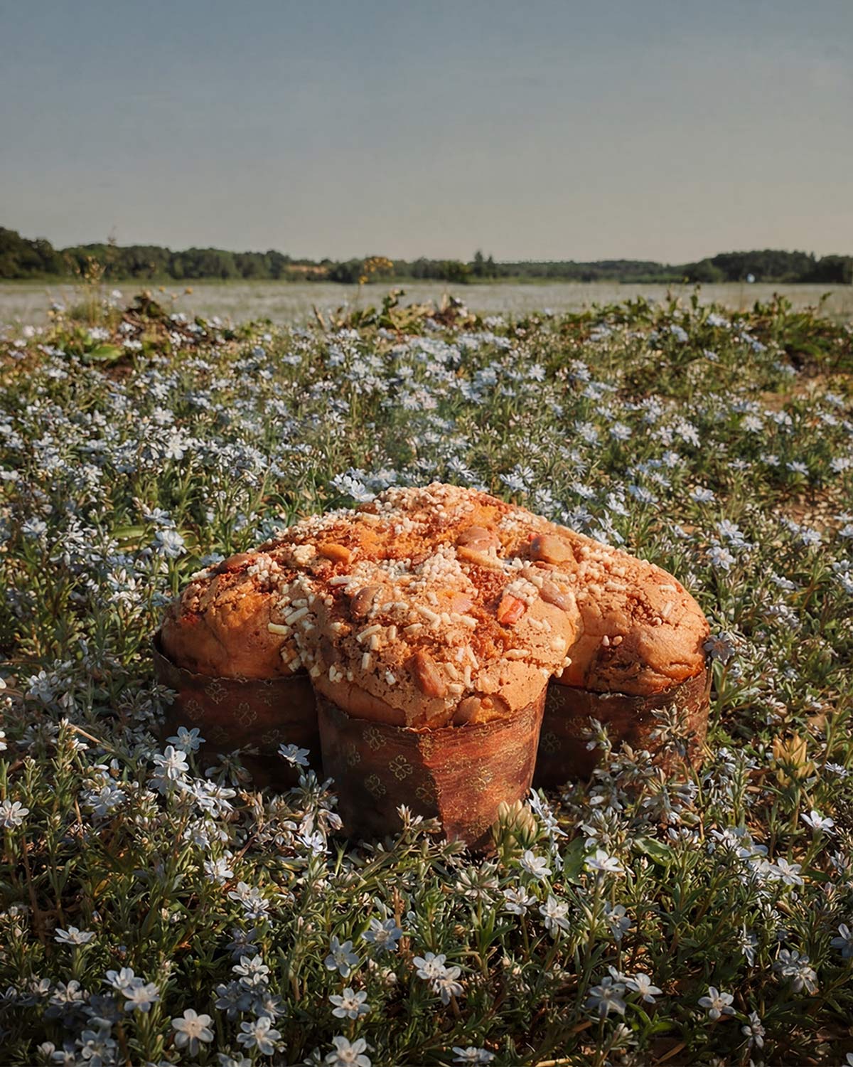 Gucci Osteria, Scopri di più sul sito Web di Gucci 