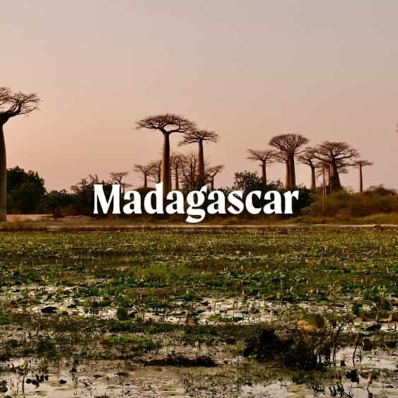 Madagascar