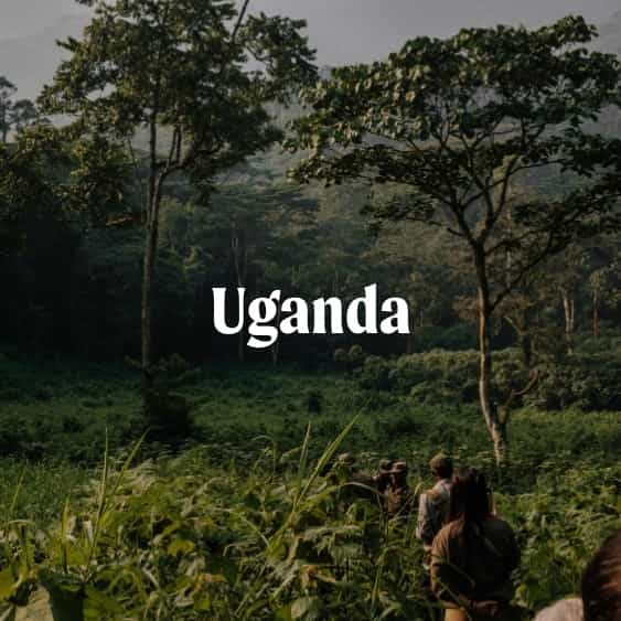 Uganda