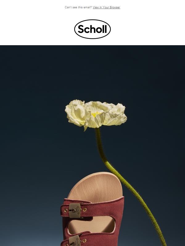 The wooden clog legacy