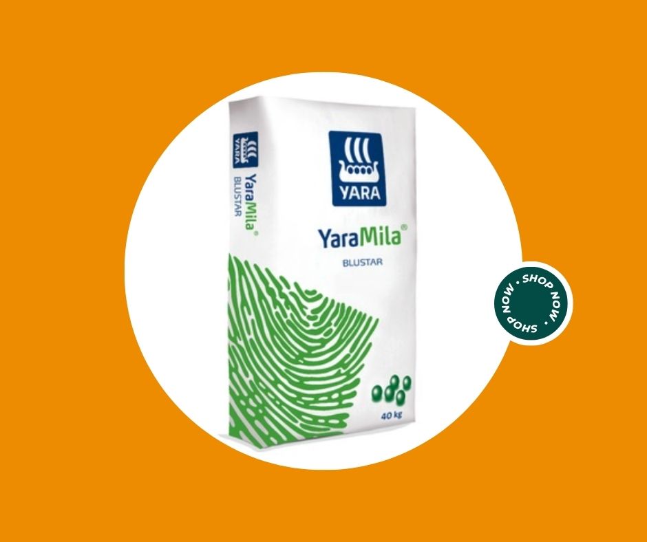 Terriccio substrato per azalee e rododendri