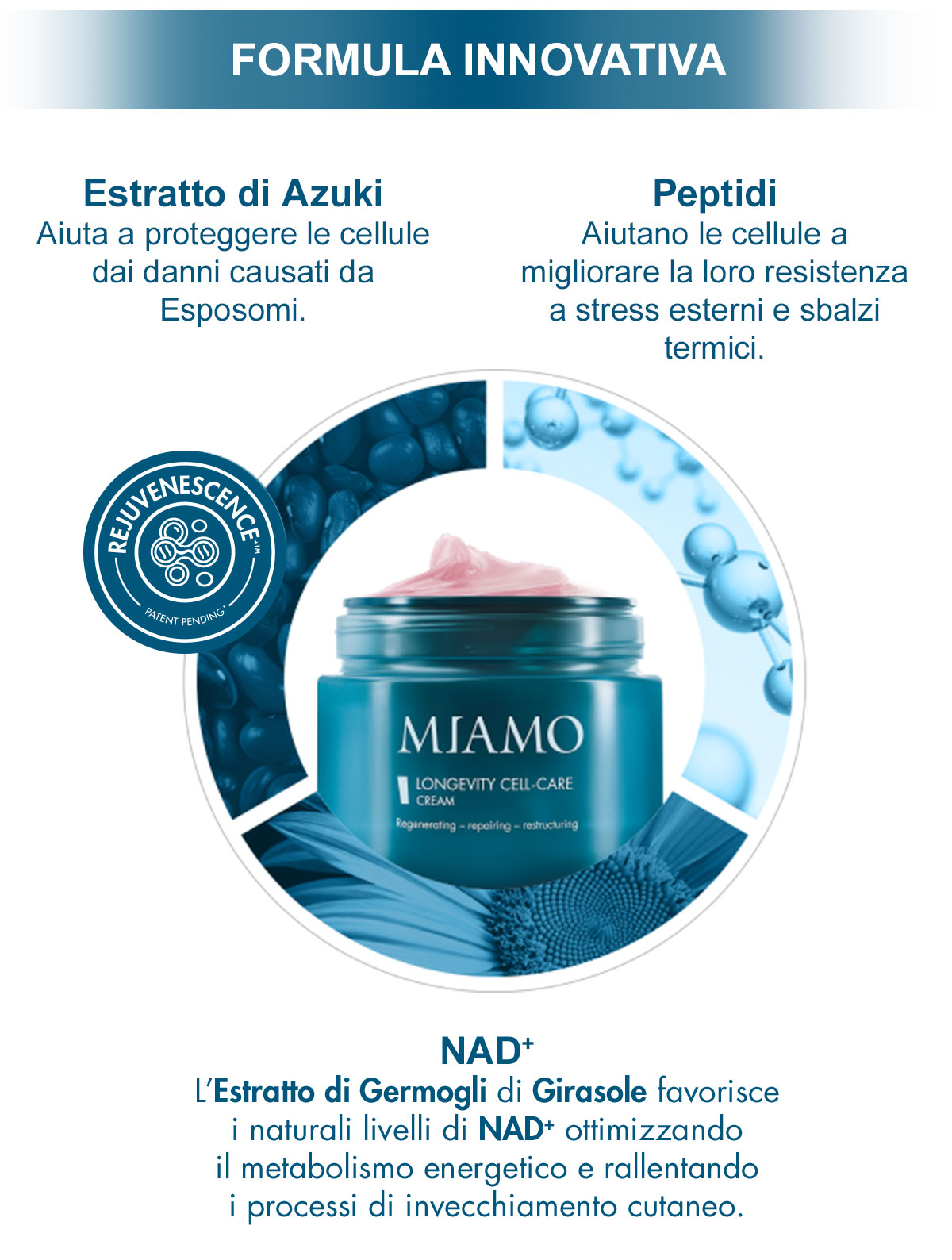 longevity cc attivi NL