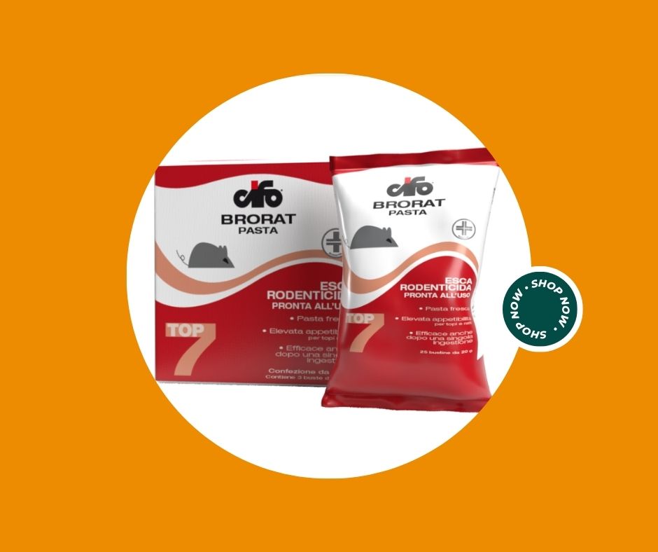 Bado insetticida in polvere prontouso