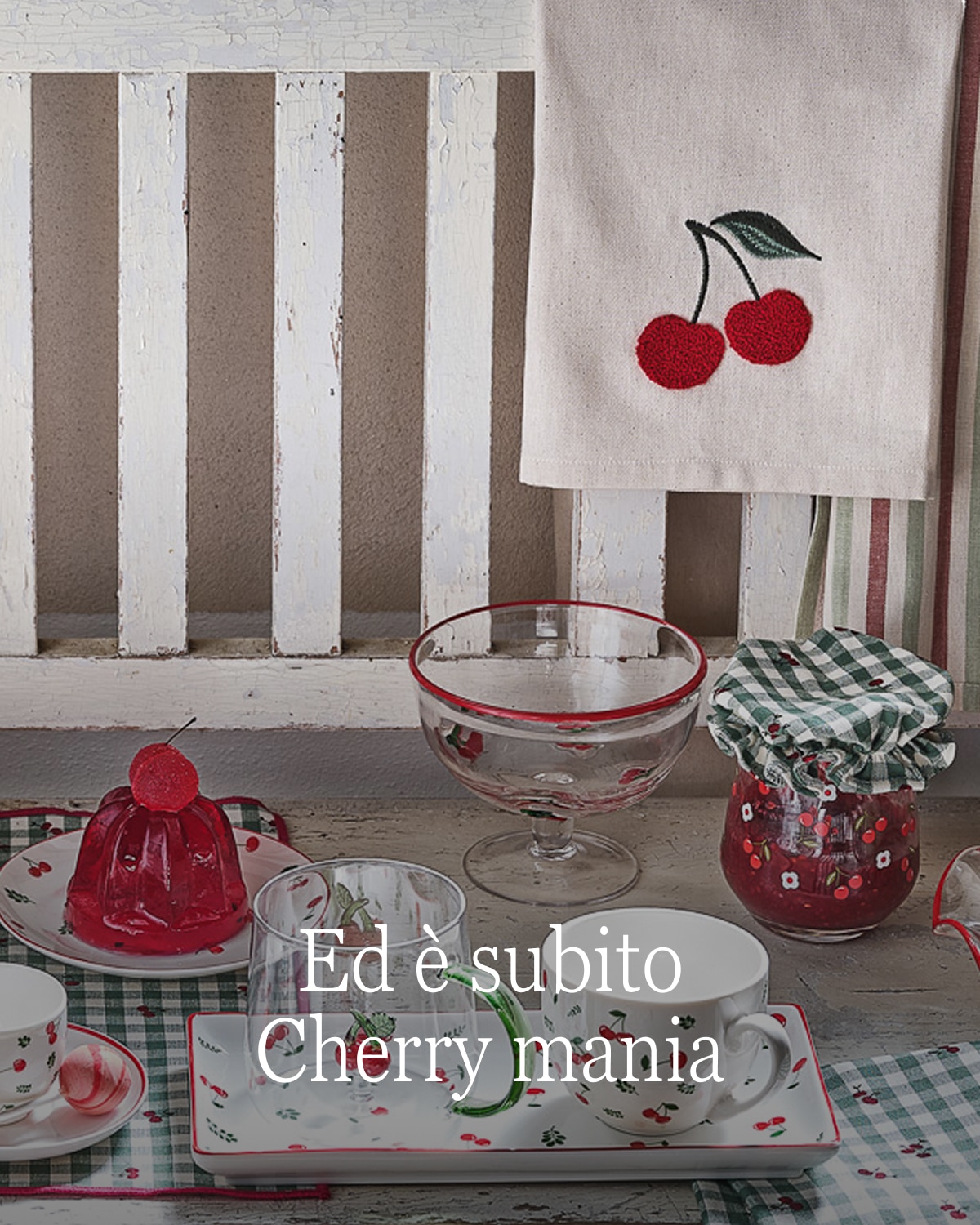 Coin Tavola e Cucina