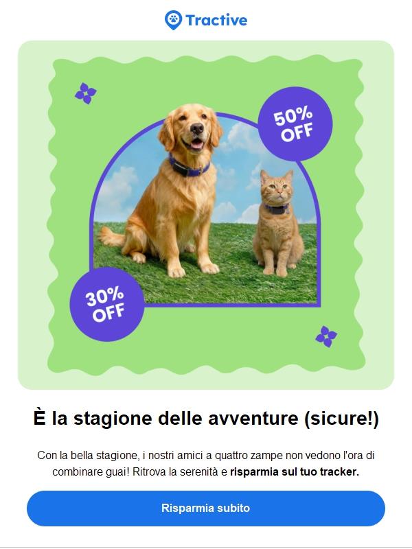 Diamo inizio alle follie primaverili🌻