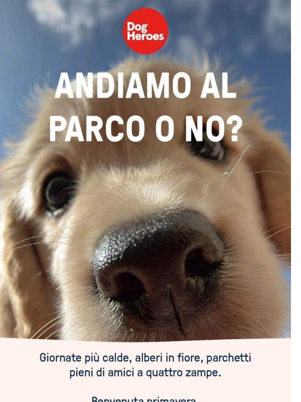 🌼Bentornata primavera: consigli per uscire all'aria aperta