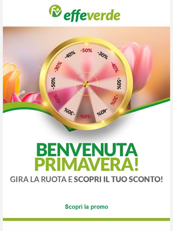 ✨ Gira la ruota e vinci fantastici sconti!