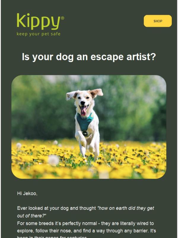 The breeds that always find a way out 🐕