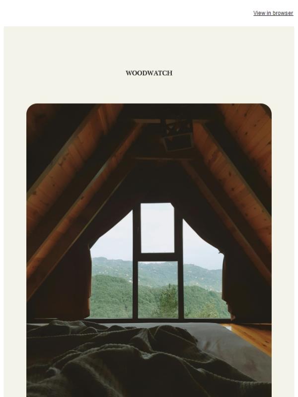 The Friday Pause: The First Signs of Spring 🌼