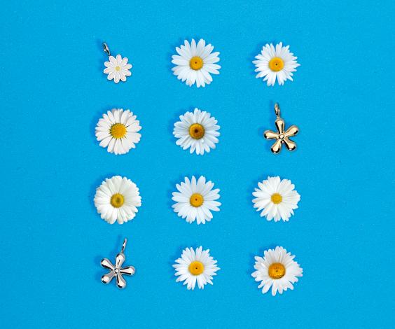 By You Collection - Primavera