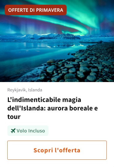 L'indimenticabile magia dell'Islanda: aurora boreale e tour