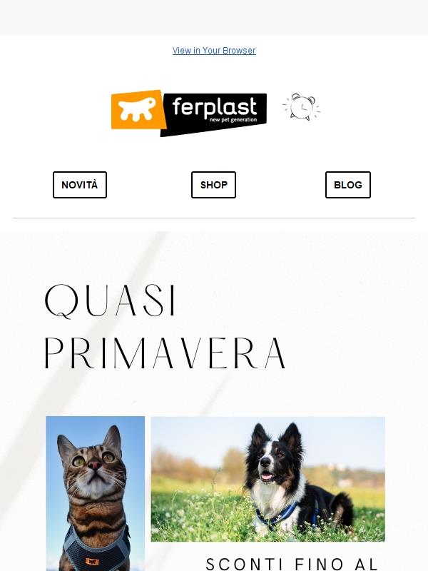 Fino al -20% | Ultimo giorno🌱