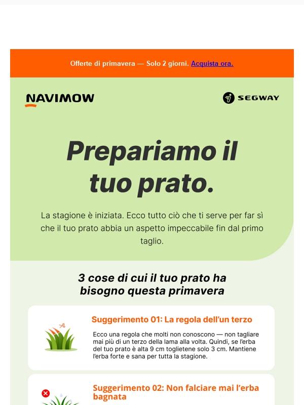 Missione prato pronto per la primavera