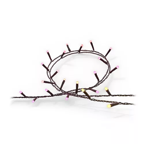 Stringhe luci Festavia