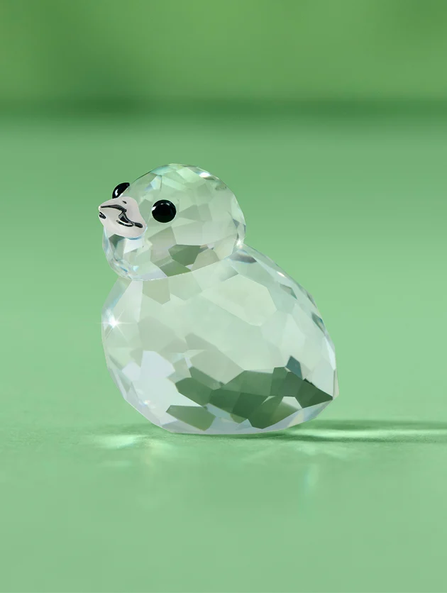 Un piccolo pulcino di fagiano in cristallo Cry e occhi neri scintillanti su uno sfondo verde.