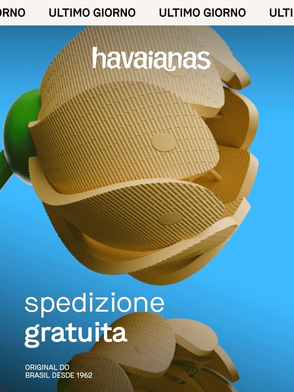 Ultimo giorno di spedizione gratuita ☀️