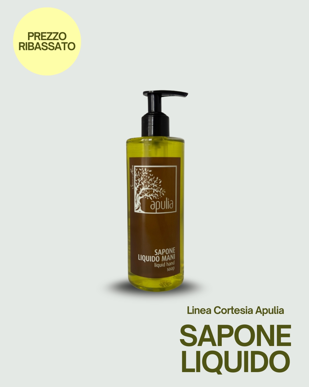 SAPONE LIQUIDO DISPENSER 300ML