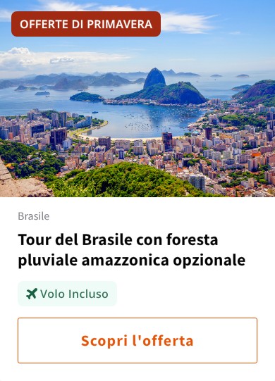 Tour del Brasile con foresta pluviale amazzonica opzionale