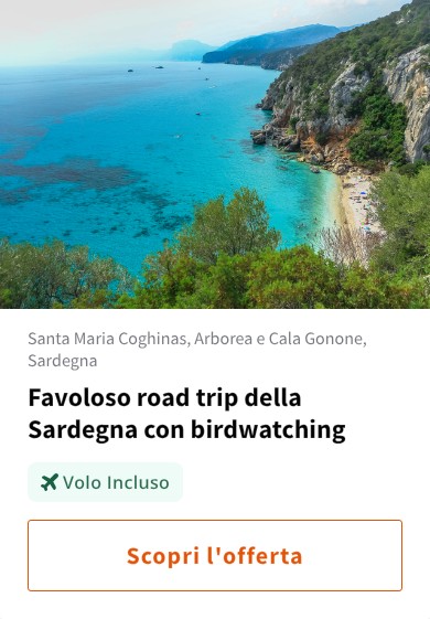 Favoloso road trip della Sardegna con birdwatching