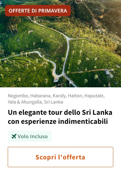 Un elegante tour dello Sri Lanka con esperienze indimenticabili