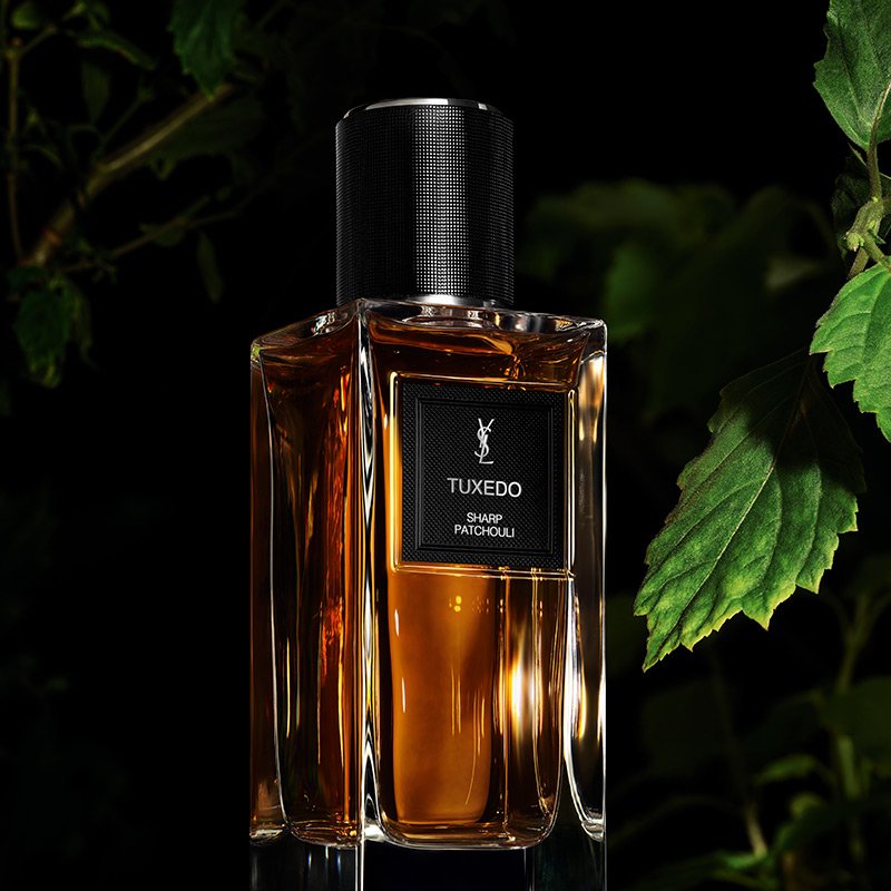 Un flacone di profumo YSL Tuxedo elegantemente incorniciato da rigogliose foglie verdi.