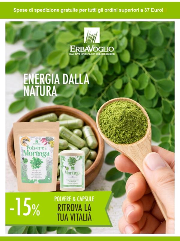 Energia naturale ogni giorno con la Moringa Bio 🌿