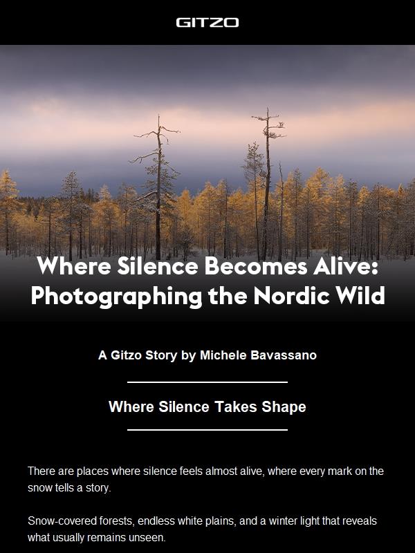 Where Silence Makes the Image