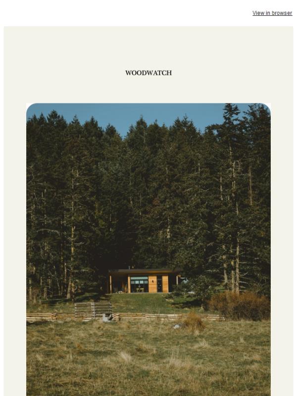 The Friday Pause: The Pace of Spring 🌿