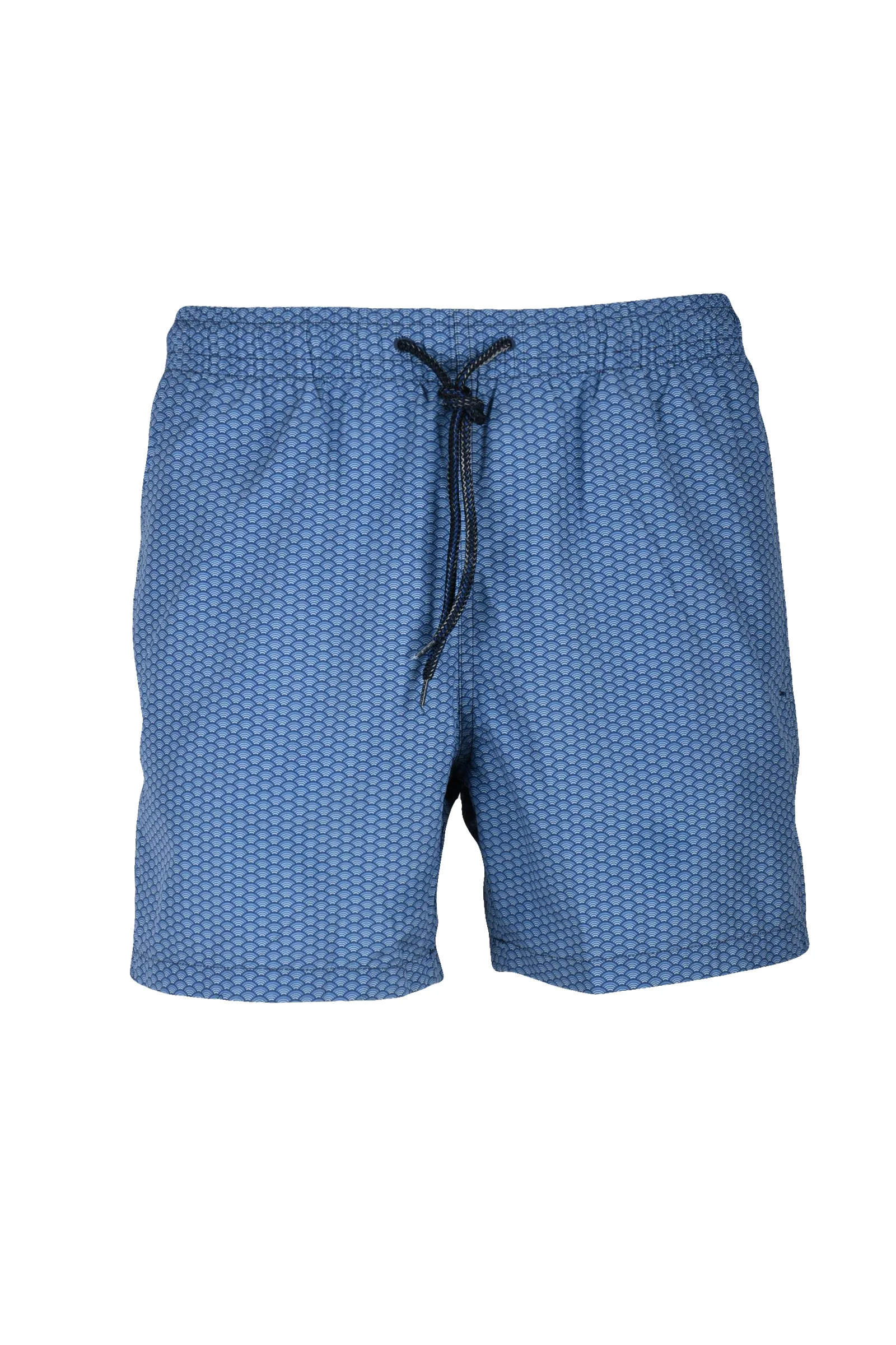 Image of Drumohr Boxer Mare