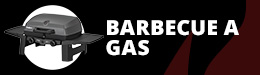 Barbecue a gas
