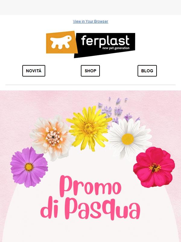 Promo Pasqua 🐰 Sconto 20%