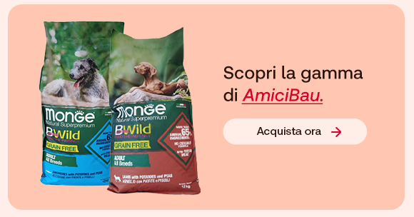 Sacchi di crocchette Monge BWild per cani su sfondo pesca. Testo: &ldquo;Scopri la gamma di AmiciBau&rdquo;, con &ldquo;AmiciBau&rdquo; evidenziato in rosso corsivo e sottolineato. Pulsante: &ldquo;Acquista ora&rdquo;.