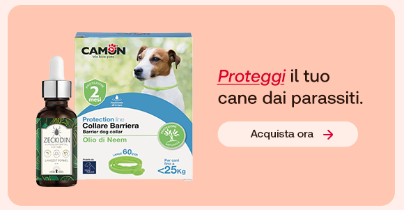 Prodotti antiparassitari per cani: collare barriera Camon e olio naturale Zeckidin. Testo: &ldquo;Proteggi il tuo cane dai parassiti&rdquo;, con &ldquo;Proteggi&rdquo; evidenziato in rosso corsivo e sottolineato. Pulsante: &ldquo;Acquista ora&rdquo;.