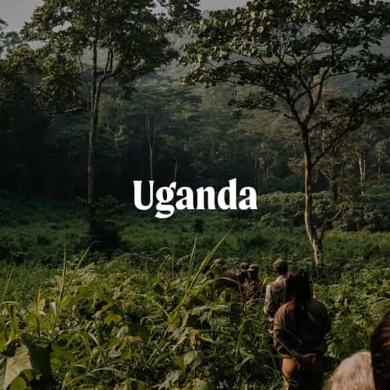 Upganda