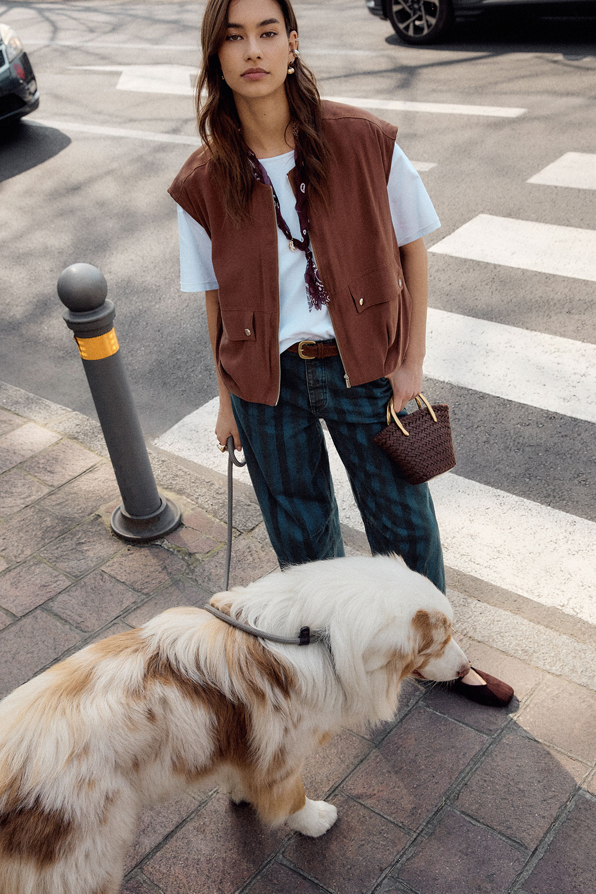 Young woman in brown vest and white T‑shirt holding a small woven handbag, walking a large fluffy white and tan dog on city crosswalk