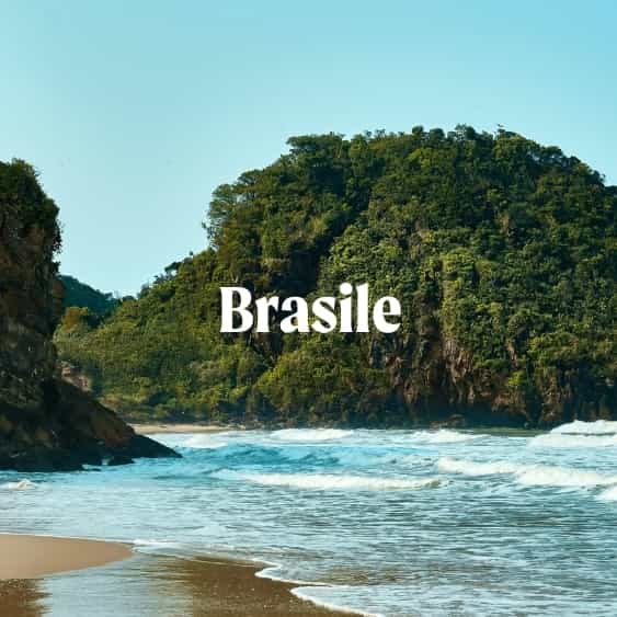Brasile