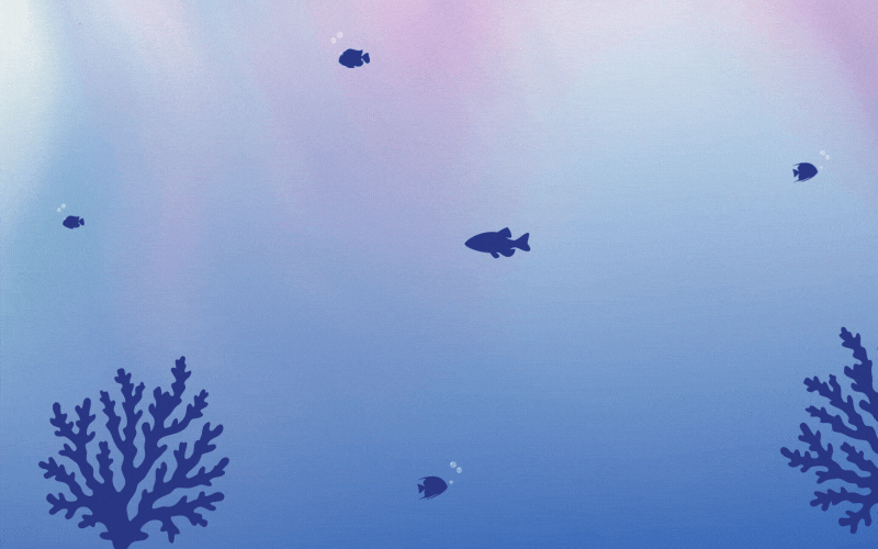 BNN - PROMO PESCE D'APRILE