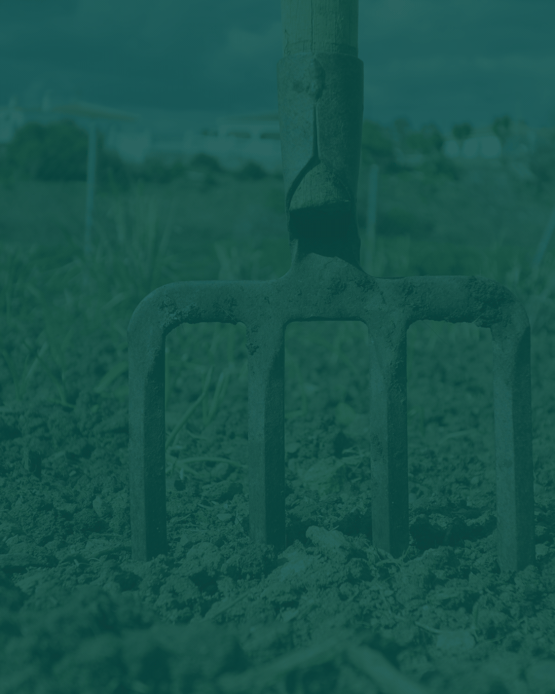 benvenuto-su-agriden