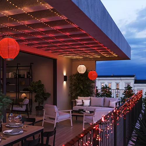 Ammira la fioritura all’aperto