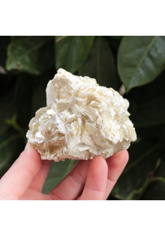 Image of Grande Pezzo Unico di MICA MUSCOVITE Grezza Bellissimo Esemplare Originale A+