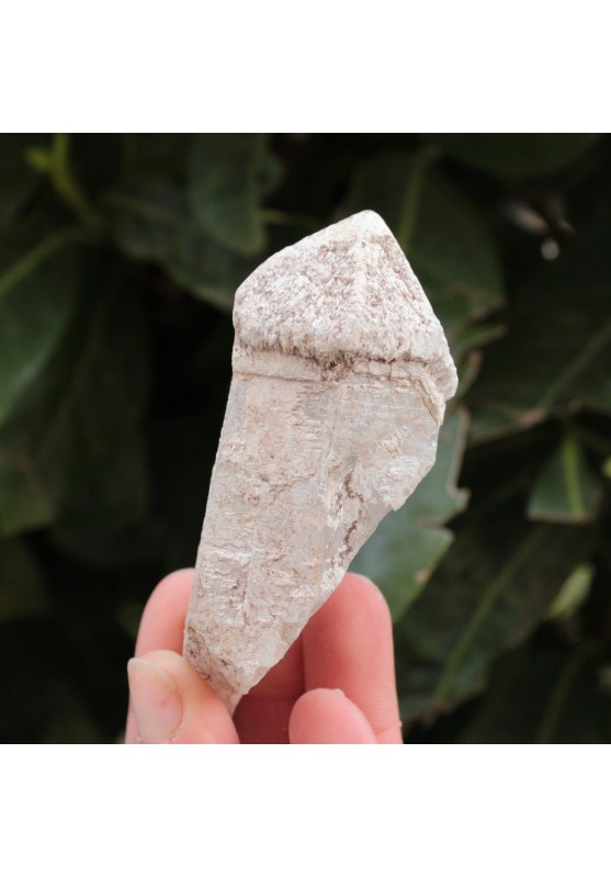 Image of Stupendo Pezzo unico Quarzo Scettro 9cm - 10gr Collezionismo Esemplare Grezzo