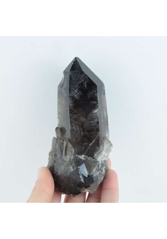 Image of Gruppo di Quarzo Fumè Punta Scura Naturale 12cm Minerale Grezzo Collezionismo