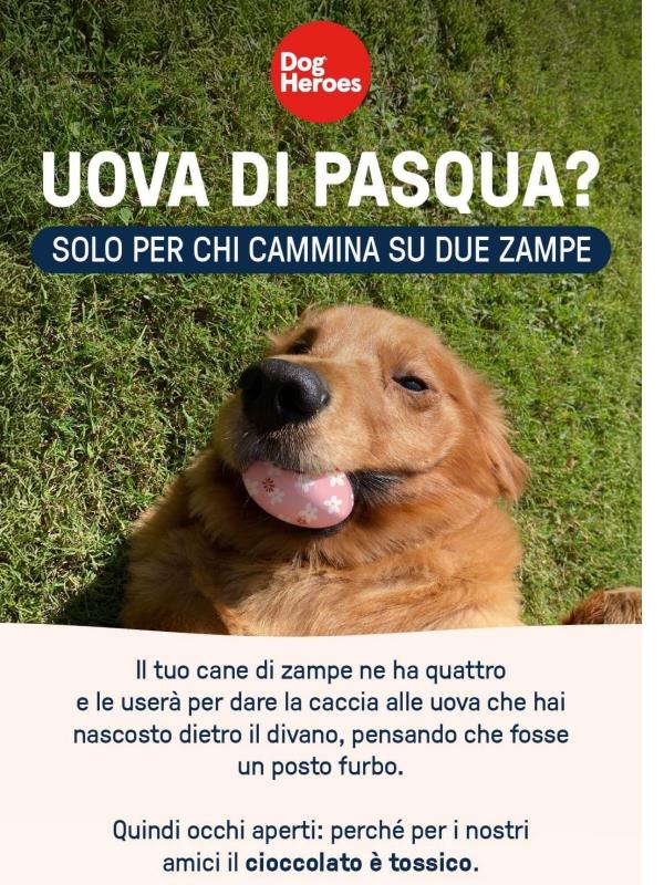 🍫 Prova Dog Heroes al -30%