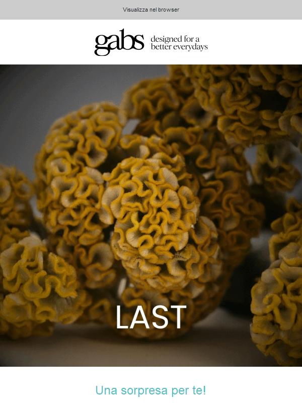 Selezione last minute | Scegli la tua Gabs